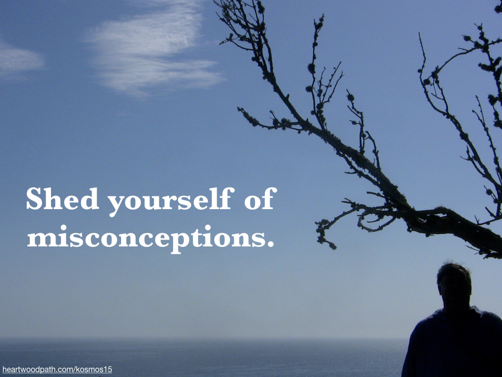 picture of life coach don pierce saying Shed yourself of misconceptions