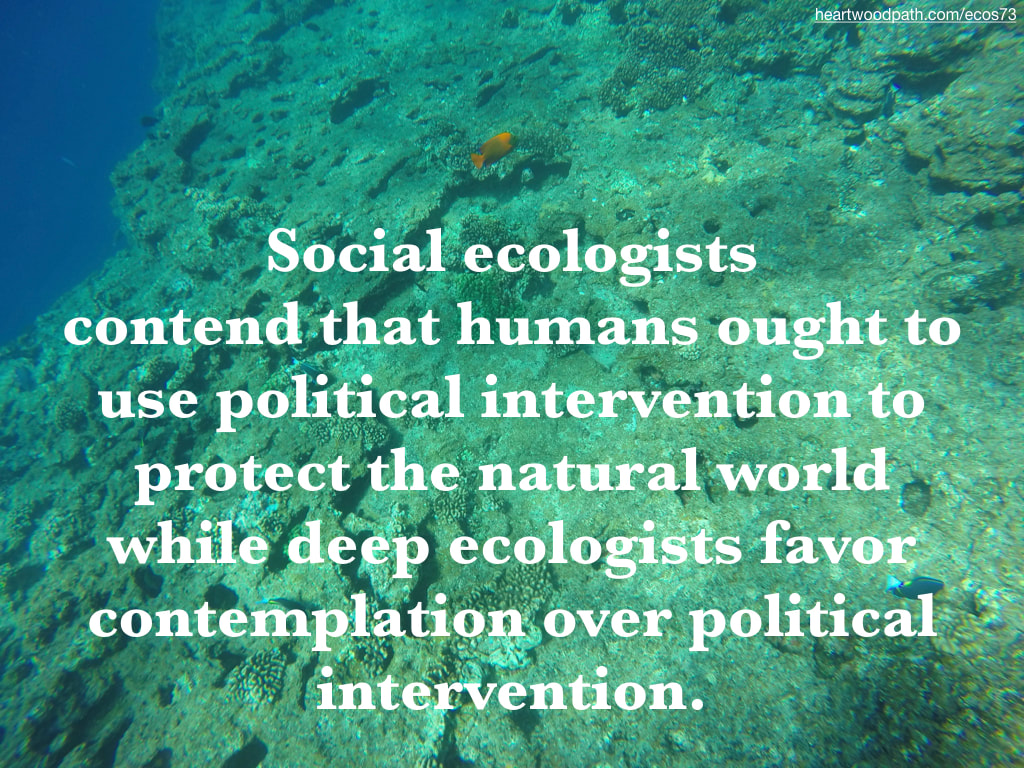 Picture coral reef fish quote Social ecologists contend that humans ought to use political intervention to protect the natural world while deep ecologists favor contemplation over political intervention