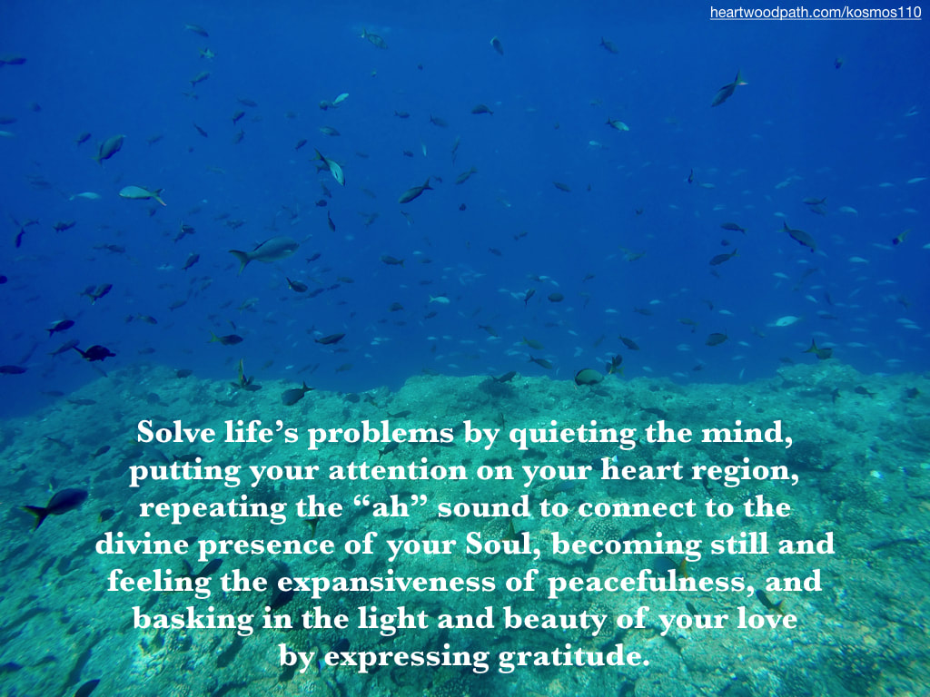 Picture underwater fish quote Solve life’s problems by quieting the mind, putting your attention on your heart region, repeating the “ah” sound to connect to the divine presence of your Soul, becoming still and feeling the expansiveness of peacefulness, and basking in the light and beauty of your love by expressing gratitude