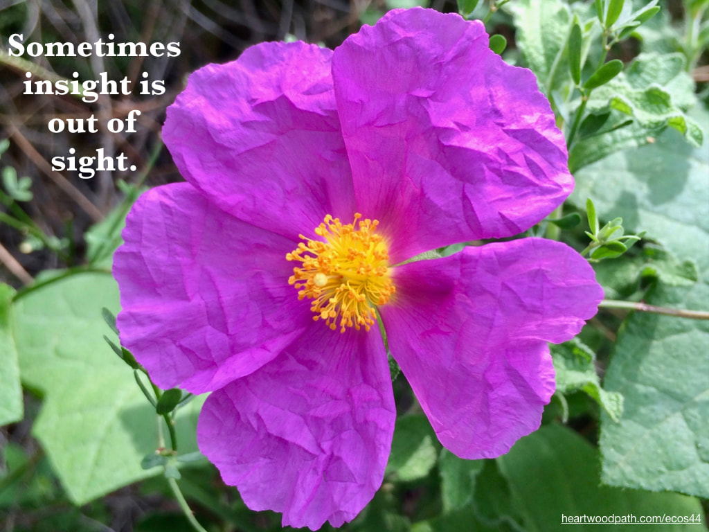 Picture purple flower yellow center quote Sometimes insight is out of sight