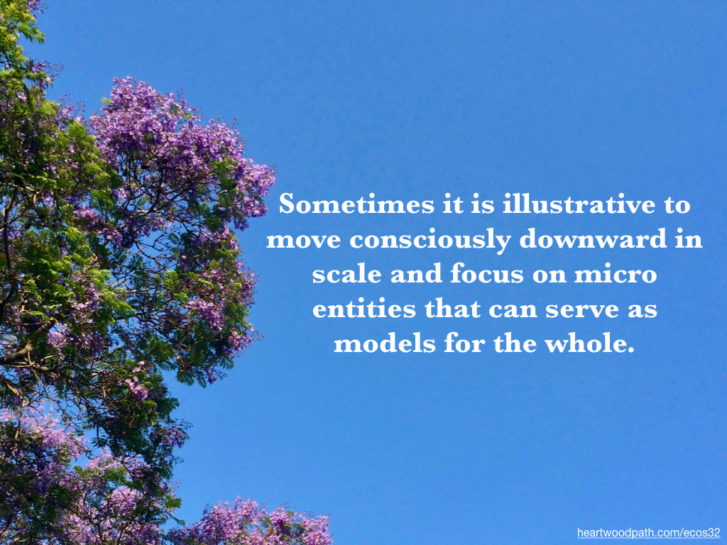 Picture jacaranda purple flowers tree quote Sometimes it is illustrative to move consciously downward in scale and focus on micro entities that can serve as models for the whole