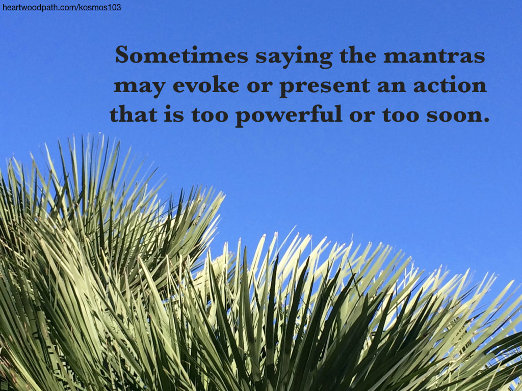 Picture palm fronds with quote on blue sky Sometimes saying the mantras may evoke or present an action that is too powerful or too soon