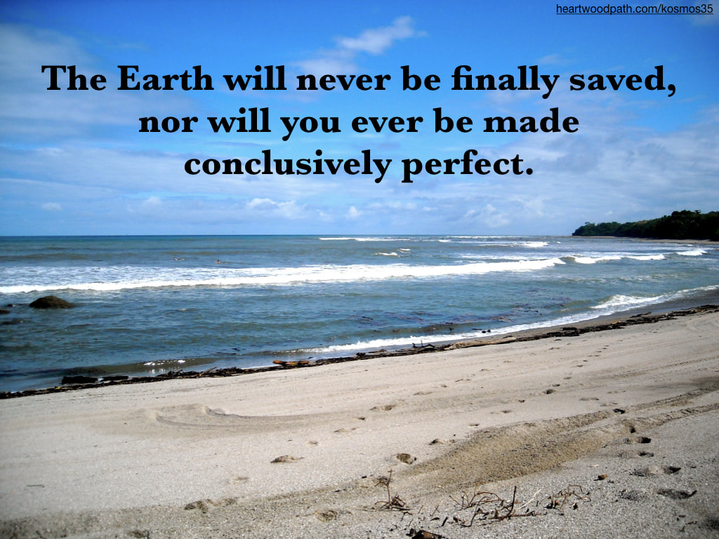 picture of beach with words The Earth will never be finally saved, nor will you ever be made conclusively perfect