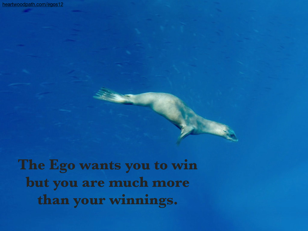 Picture underwater sea lion quote The Ego wants you to win but you are much more than your winnings