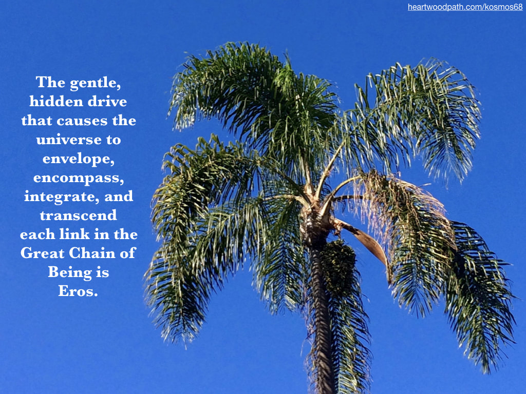 Picture palm tree with words - The gentle, hidden drive that causes the universe to envelope, encompass, integrate, and transcend each link in the Great Chain of Being is Eros