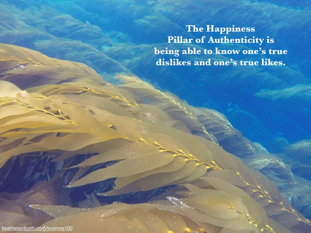 Picture kelp forest underwater quote The Happiness Pillar of Authenticity is being able to know one’s true dislikes and one’s true likes.