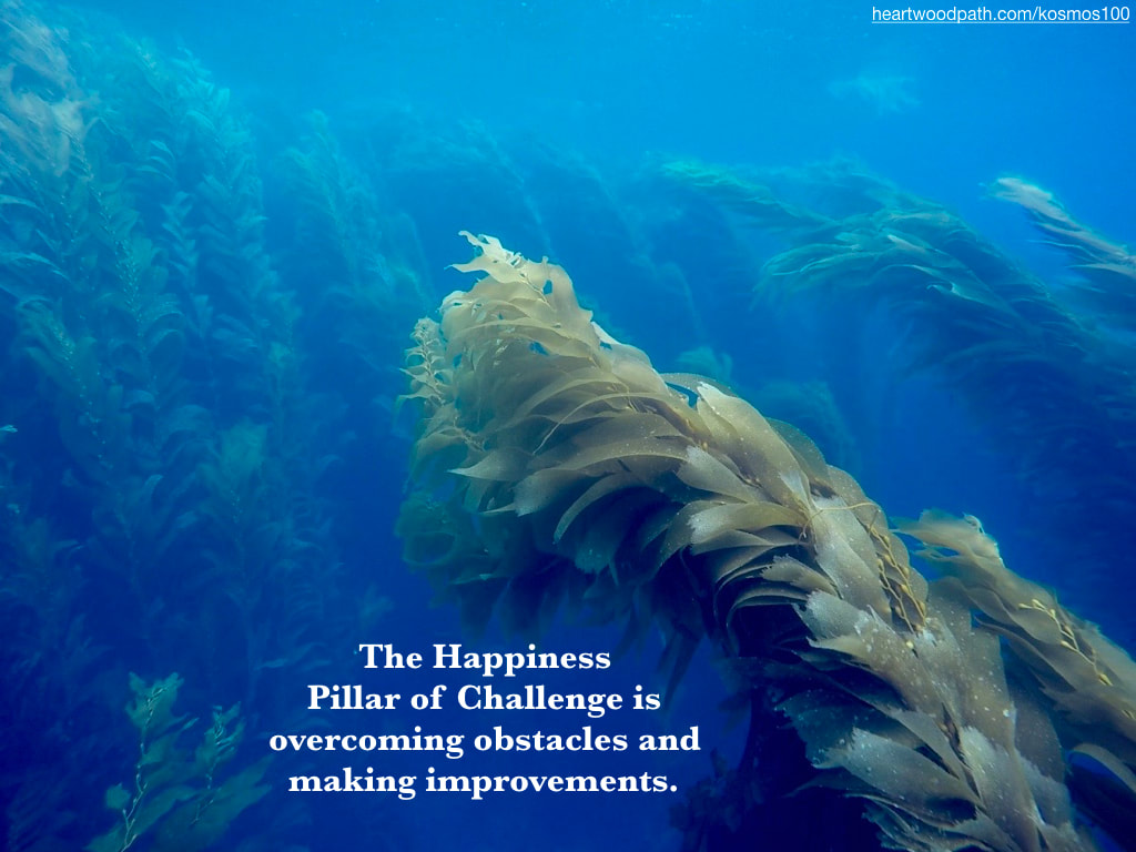 picture seaweed underwater blue water quote The Happiness Pillar of Challenge is overcoming obstacles and making improvements.