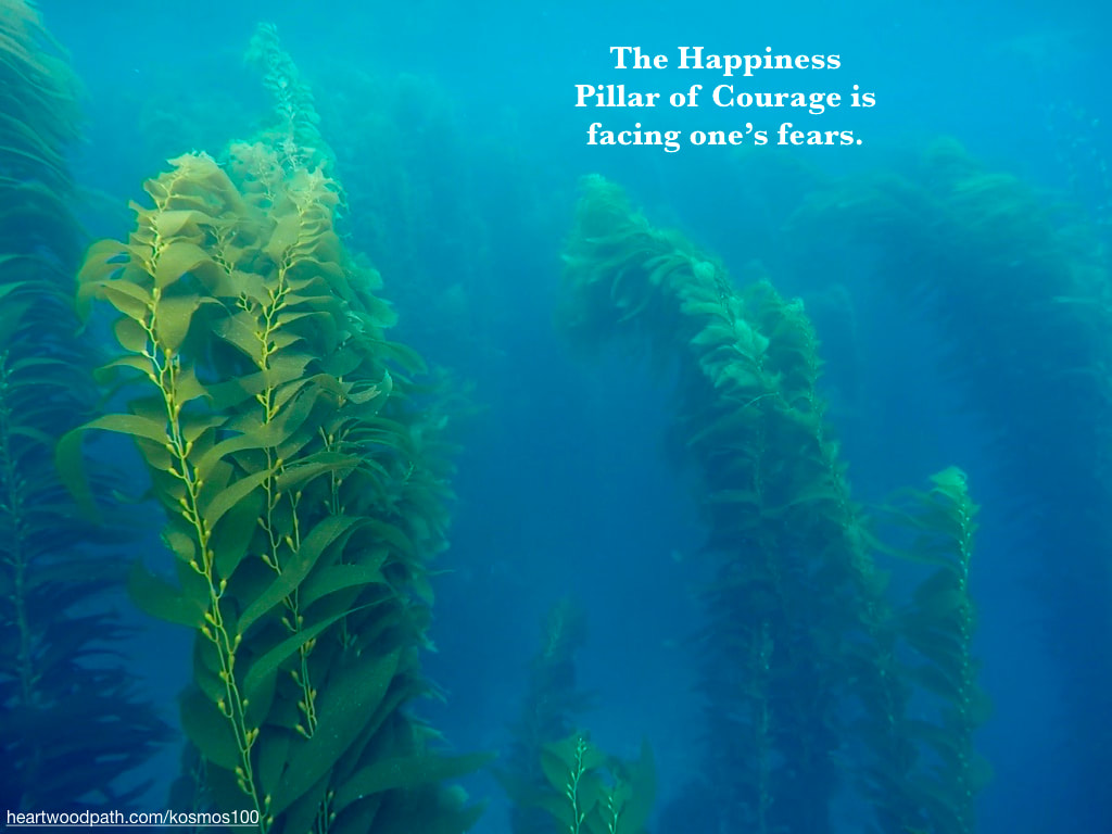 Picture kelp forest underwater quote The Happiness Pillar of Courage is facing one’s fears. 
