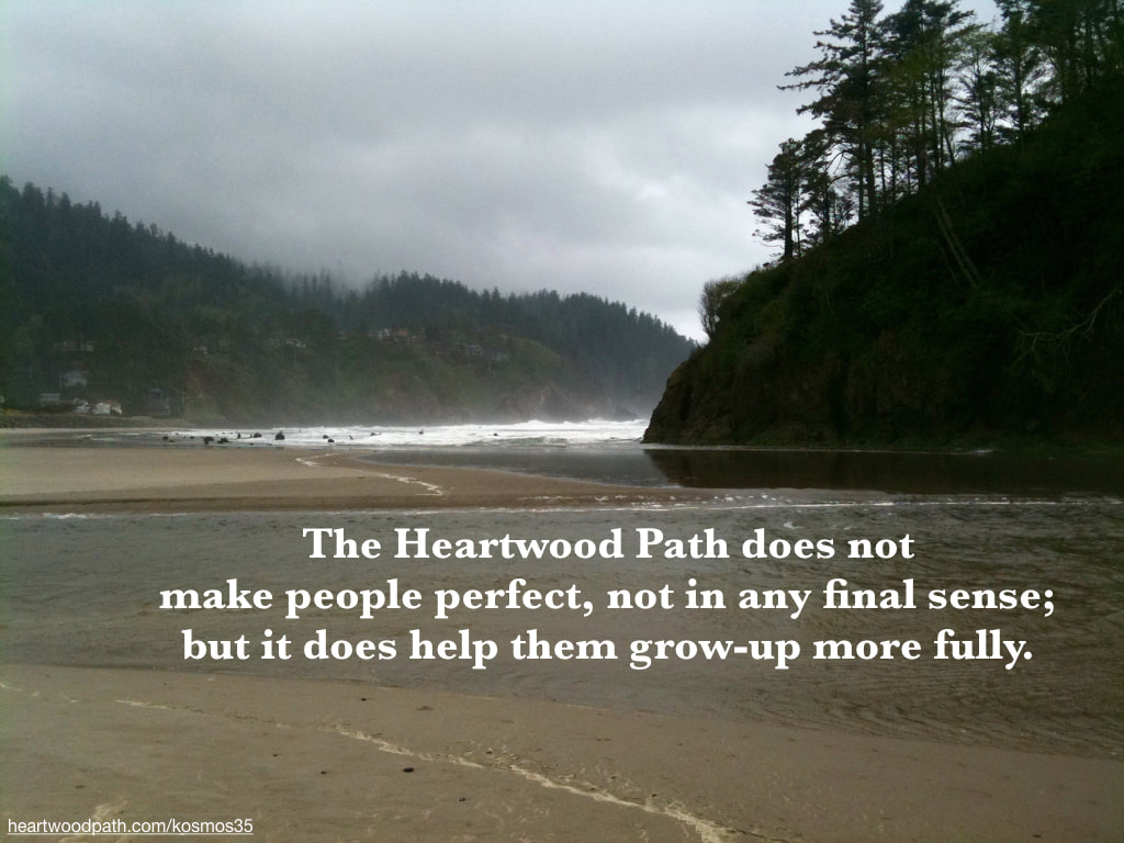 picture of forest and beach and words -The Heartwood Path does not make people perfect, not in any final sense; but it does help them grow-up more fully