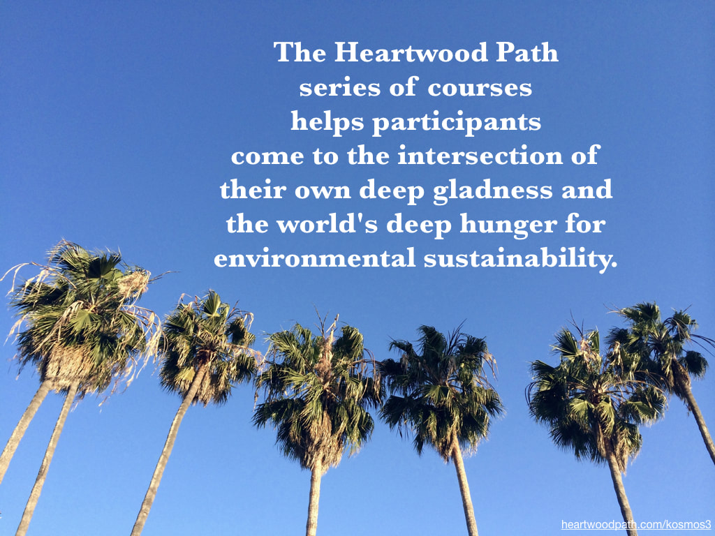 picture of palm trees and quote The Heartwood Path series of courses helps participants come to the intersection of their own deep gladness and the world's deep hunger for environmental sustainability