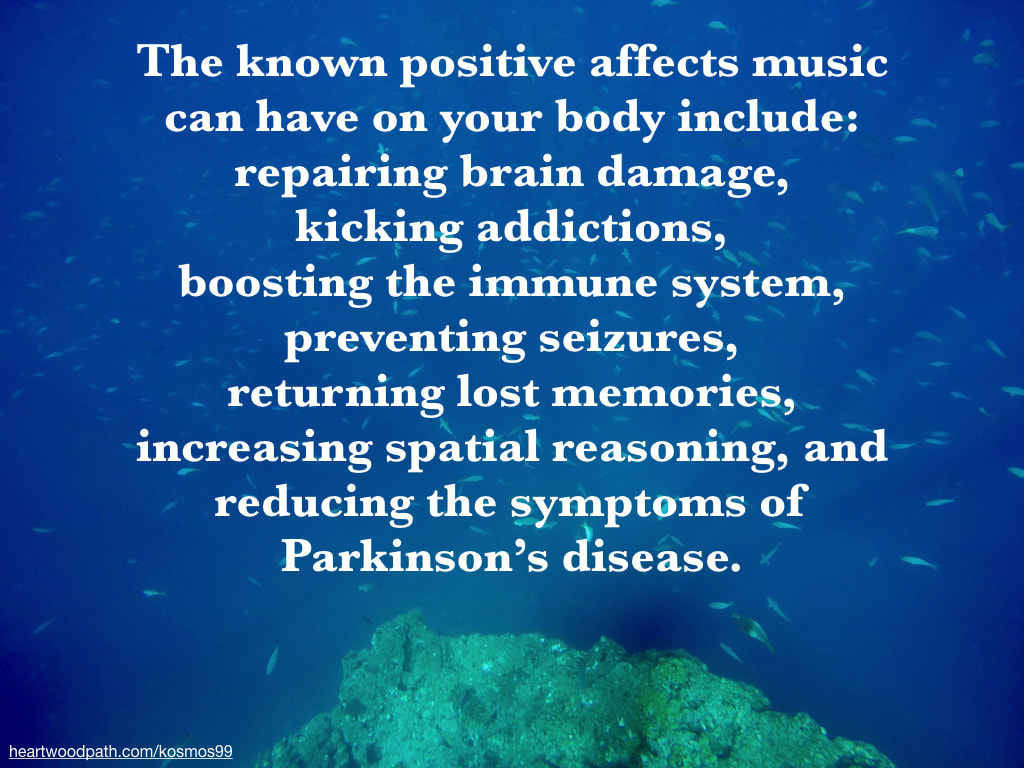 Picture fish underwater with quote The known positive affects music can have on your body include: repairing brain damage, kicking addictions, boosting the immune system, preventing seizures, returning lost memories, increasing spatial reasoning, and reducing the symptoms of Parkinson’s disease.