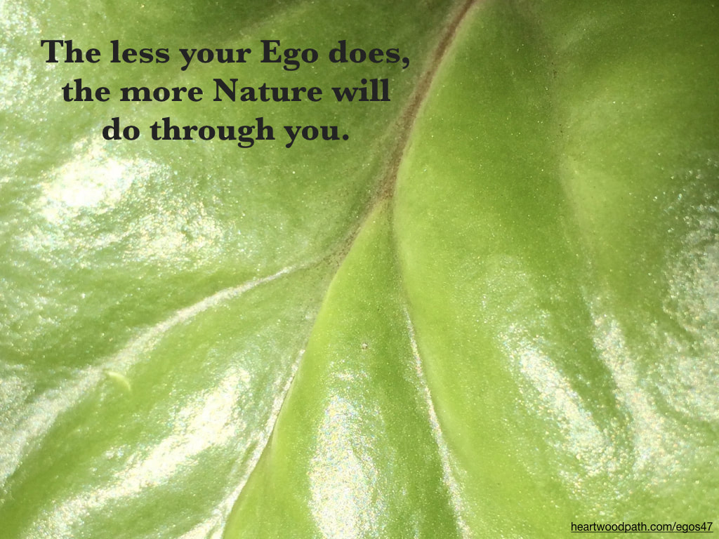 Picture waxy leaf words The less your Ego does, the more Nature will do through you