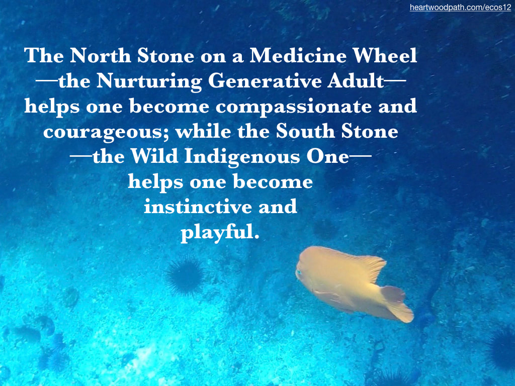 Picture clarion angelfish quote The North Stone on a Medicine Wheel––the Nurturing Generative Adult––helps one become compassionate and courageous; while the South Stone––the Wild Indigenous One––helps one become instinctive and playful