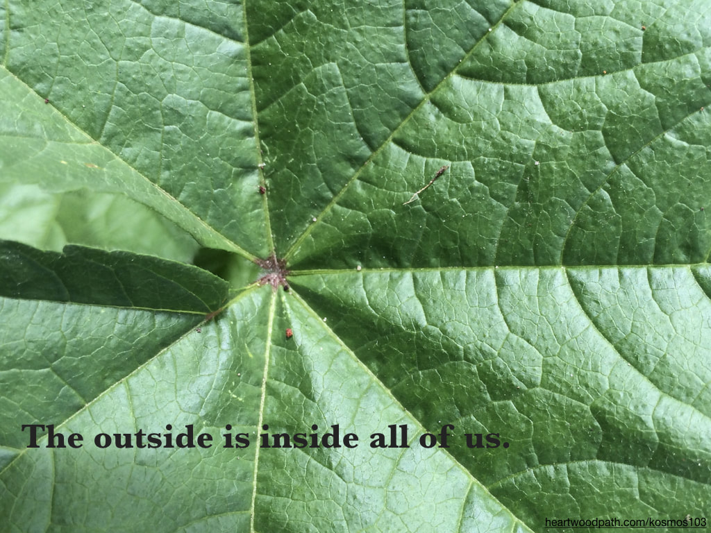 Picture green leaf with quote The outside is inside all of us