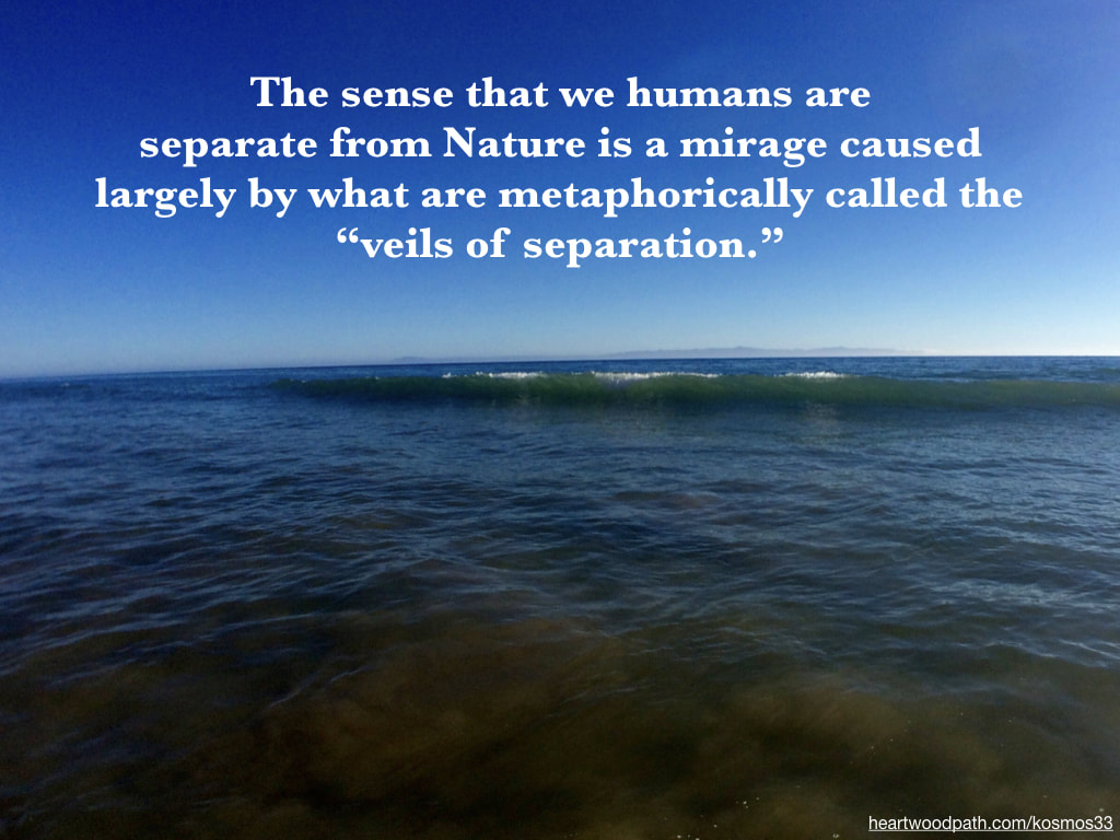 picture waves on the beach and quote The sense that we humans are separate from Nature is a mirage caused largely by what are metaphorically called the “veils of separation.”