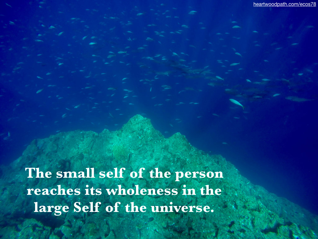Picture coral reef school fish blue water quote The small self of the person reaches its wholeness in the large Self of the universe