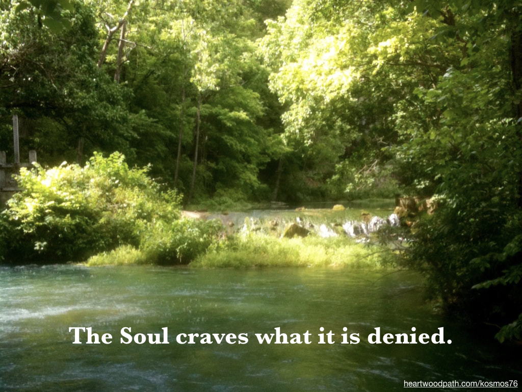 Picture river with quote The Soul craves what it is denied
