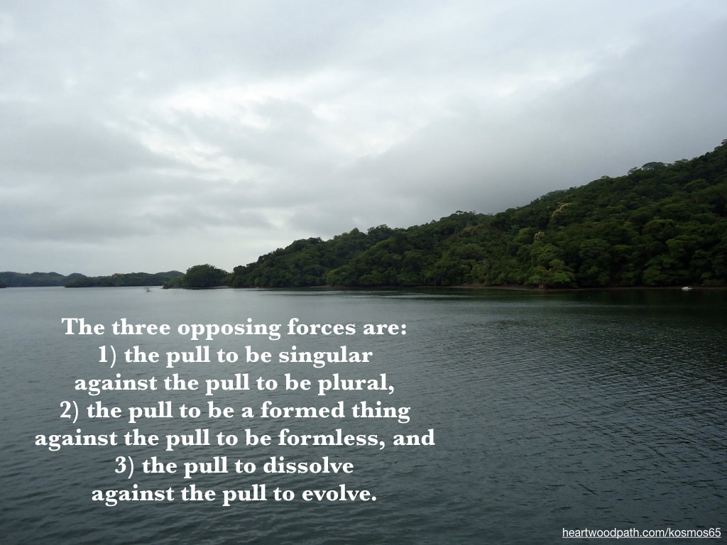 Picture rainforest coast line with words - The three opposing forces are: 1) the pull to be singular against the pull to be plural, 2) the pull to be a formed thing against the pull to be formless, and 3) the pull to dissolve against the pull to evolve