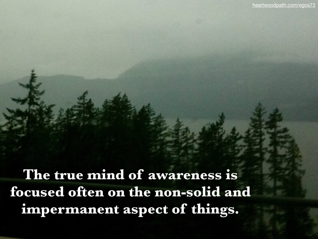 Picture foggy pine forest lake quote The true mind of awareness is focused often on the non-solid and impermanent aspect of things