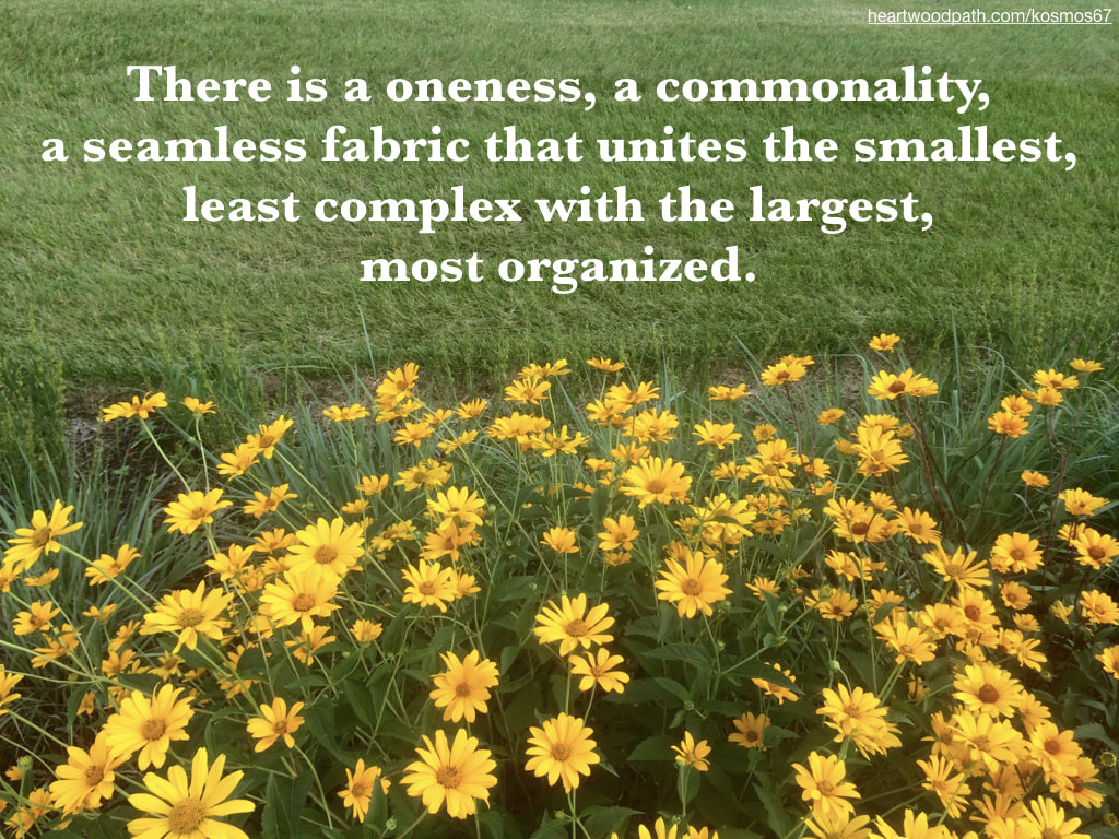 Picture yellow flowers and grass with quote - There is a oneness, a commonality, a seamless fabric that unites the smallest, least complex with the largest, most organized