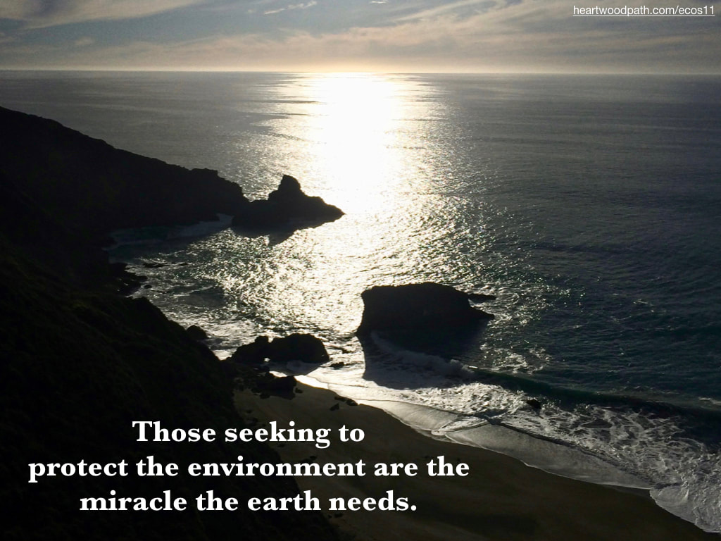 Picture ocean sun reflection quote Those seeking to protect the environment are the miracle the earth needs
