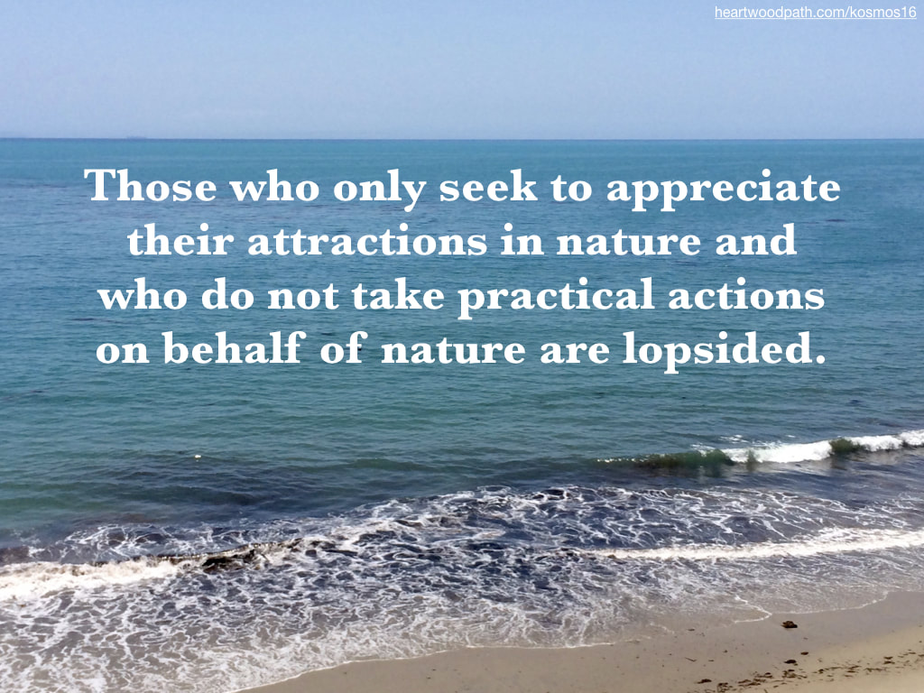 picture of ocean and quote - Those who only seek to appreciate their attractions in nature and who do not take practical actions on behalf of nature are lopsided