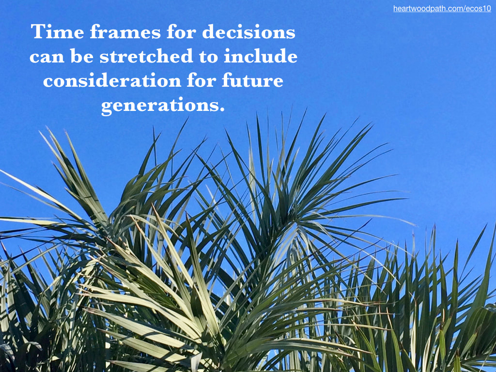 Picture palm fronds quote Time frames for decisions can be stretched to include consideration for future generations