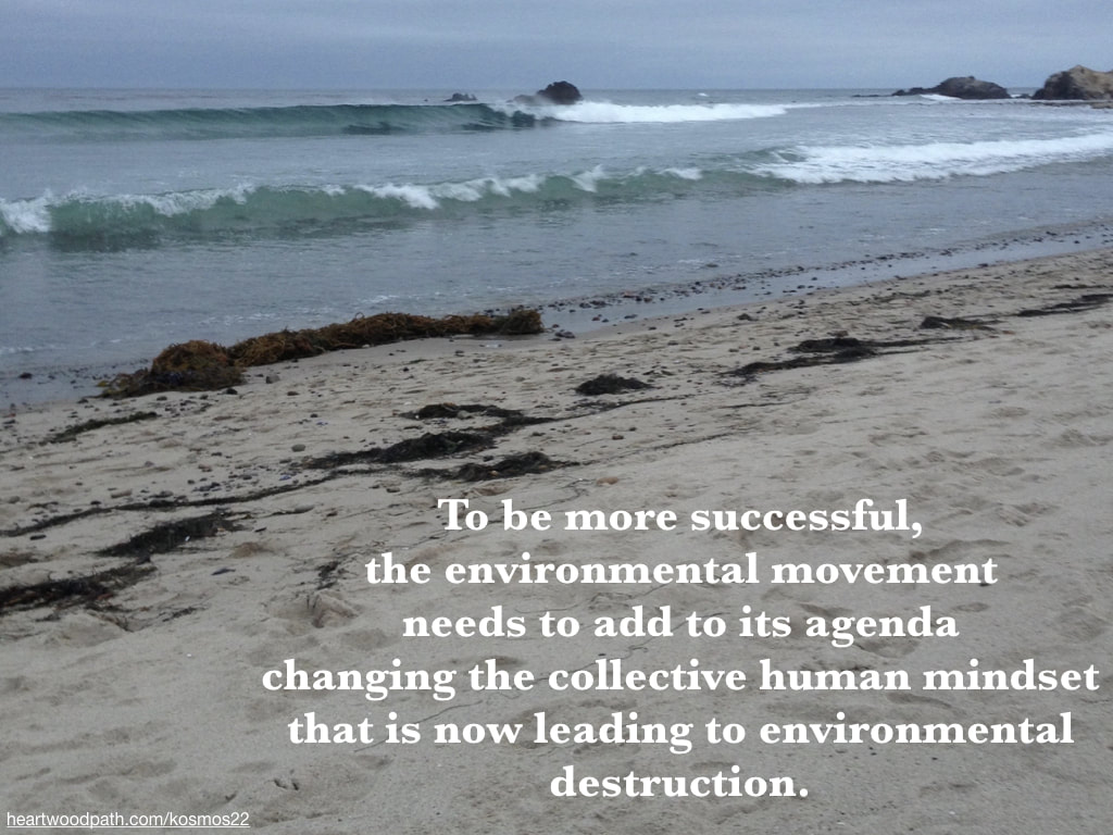 picture of beach and quote To be more successful, the environmental movement needs to add to its agenda changing the collective human mindset that is now leading to environmental destruction