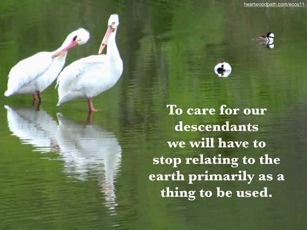 Picture white swan ducks lake quote To care for our descendants we will have to stop relating to the earth primarily as a thing to be used