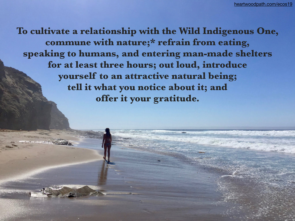 Picture connecting with nature ecopsychology activity To cultivate a relationship with the Wild Indigenous One, commune with nature;* refrain from eating, speaking to humans, and entering man-made shelters for at least three hours; out loud, introduce yourself to an attractive natural being; tell it what you notice about it; and offer it your gratitude.