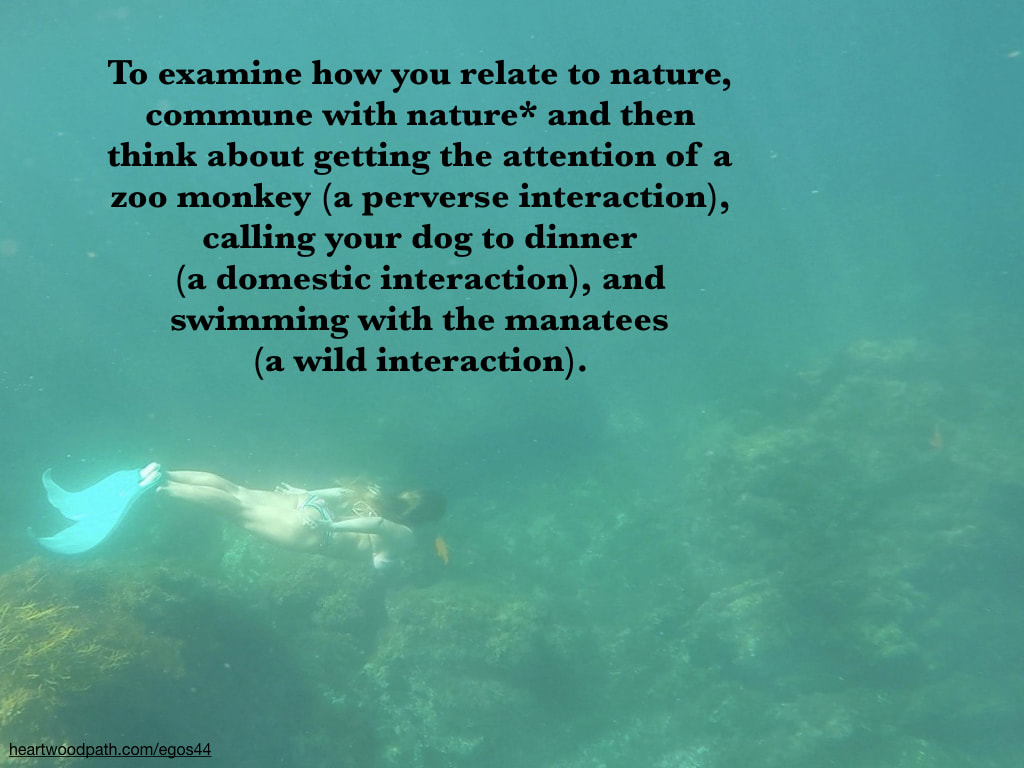 Picture communing with nature ecopsychology activity To examine how you relate to nature, commune with nature* and then think about getting the attention of a zoo monkey (a perverse interaction), calling your dog to dinner (a domestic interaction), and swimming with the manatees (a wild interaction).