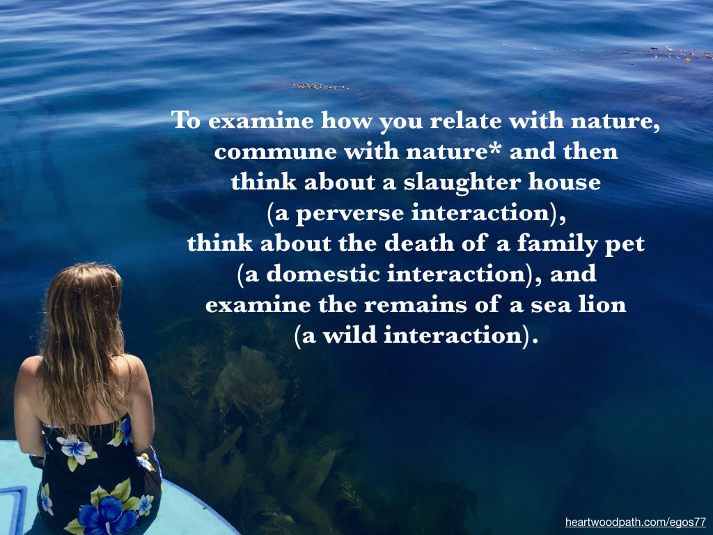 Picture connecting with nature personal growth activity To examine how you relate with nature, commune with nature* and then think about a slaughter house (a perverse interaction), think about the death of a family pet (a domestic interaction), and examine the remains of a sea lion (a wild interaction).