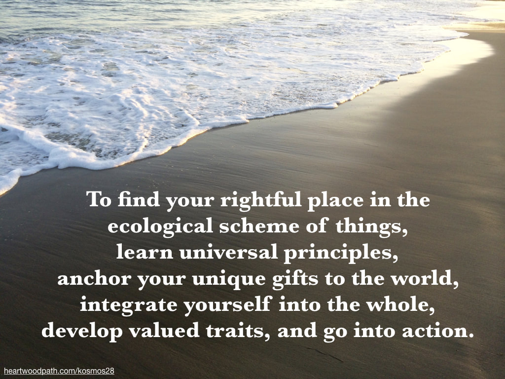 picture quote on sand -To find your rightful place in the ecological scheme of things, learn universal principles, anchor your unique gifts to the world, integrate yourself into the whole, develop valued traits, and go into action