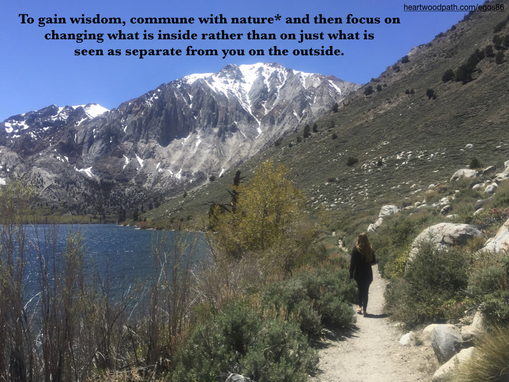 Picture connecting with nature ecopsychology activity To gain wisdom, commune with nature* and then focus on changing what is inside rather than on just what is seen as separate from you on the outside