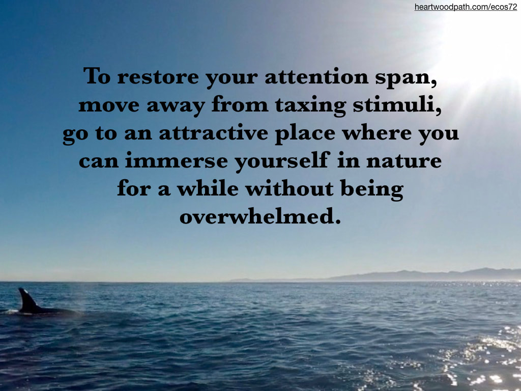 Picture orca whale ocean island quote To restore your attention span, move away from taxing stimuli, go to an attractive place where you can immerse yourself in nature for a while without being overwhelmed
