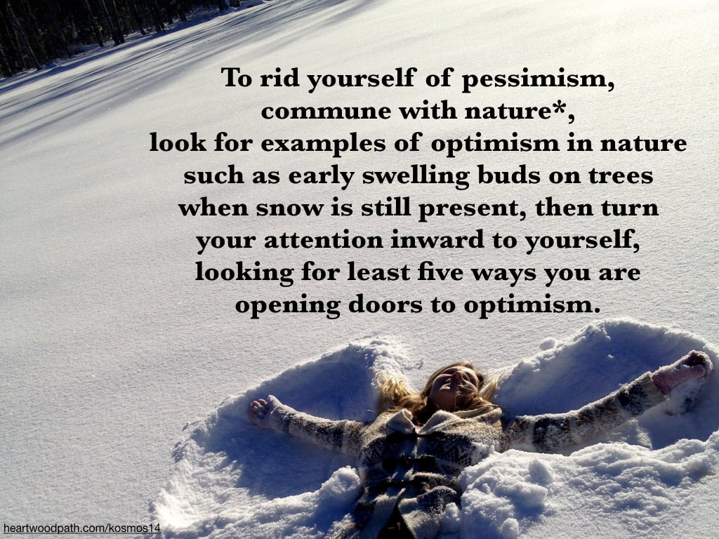 picture of person connecting with nature - To rid yourself of pessimism, commune with nature*, look for examples of optimism in nature such as early swelling buds on trees when snow is still present