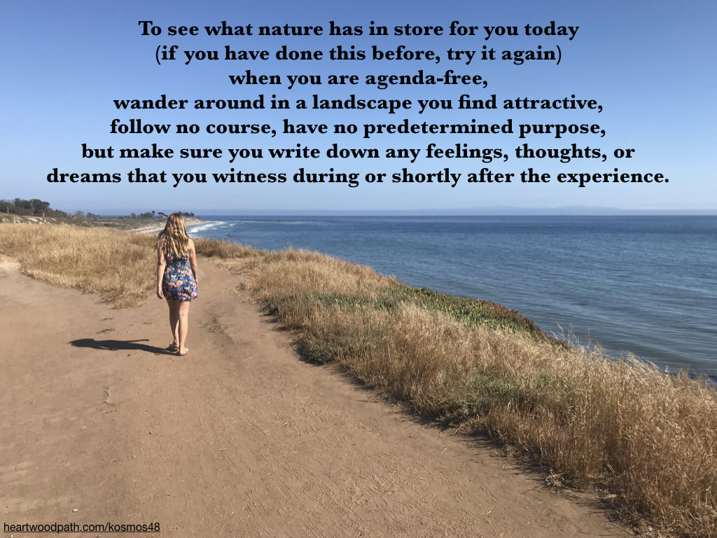 Picture person connecting with nature doing personal growth activity - To see what nature has in store for you today (if you have done this before, try it again) when you are agenda-free, wander around in a landscape you find attractive