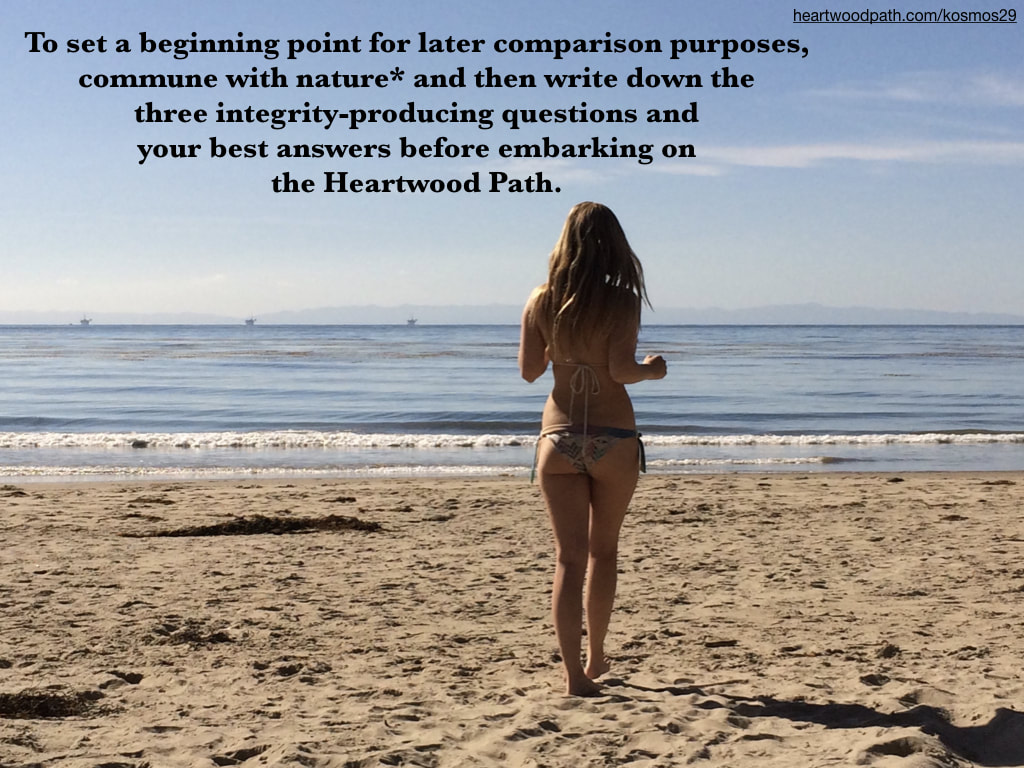 picture person connecting with nature on beach doing activity - To set a beginning point for later comparison purposes, commune with nature* and then write down the three integrity-producing questions