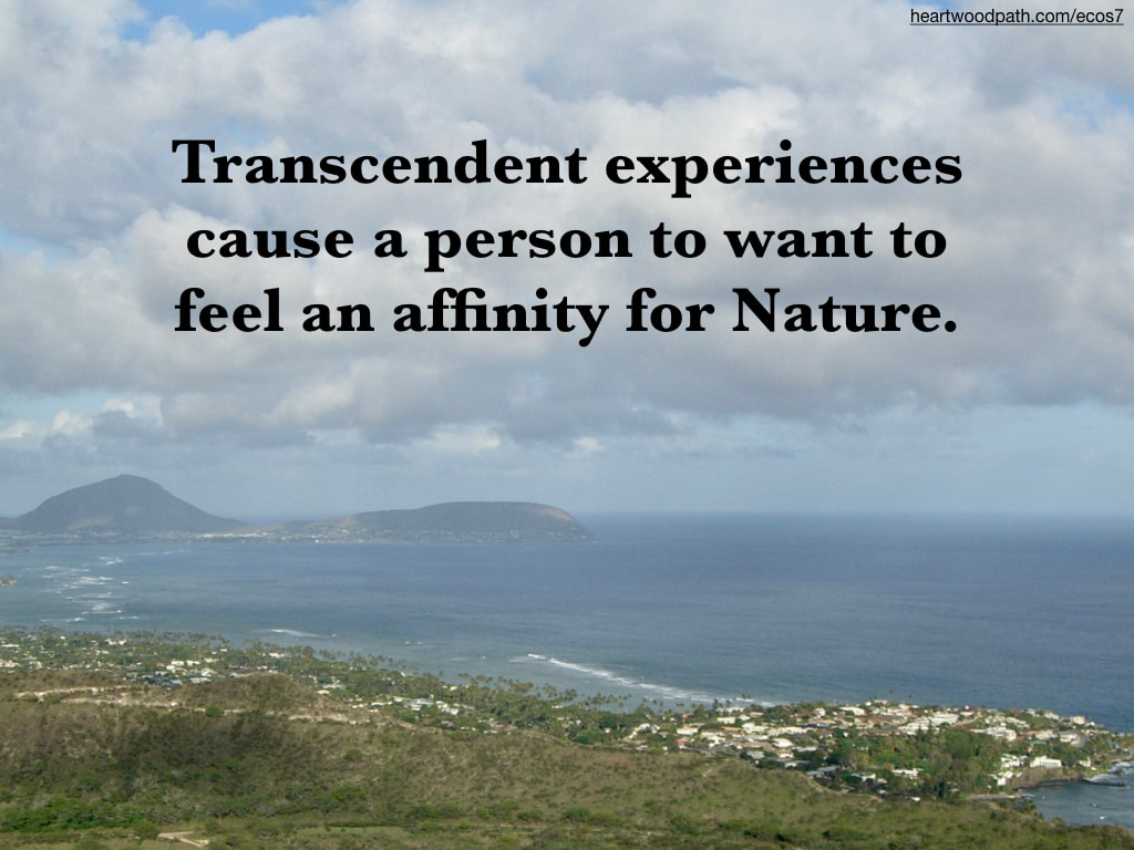 Picture oceanview quote Transcendent experiences cause a person to want to feel an affinity for Nature