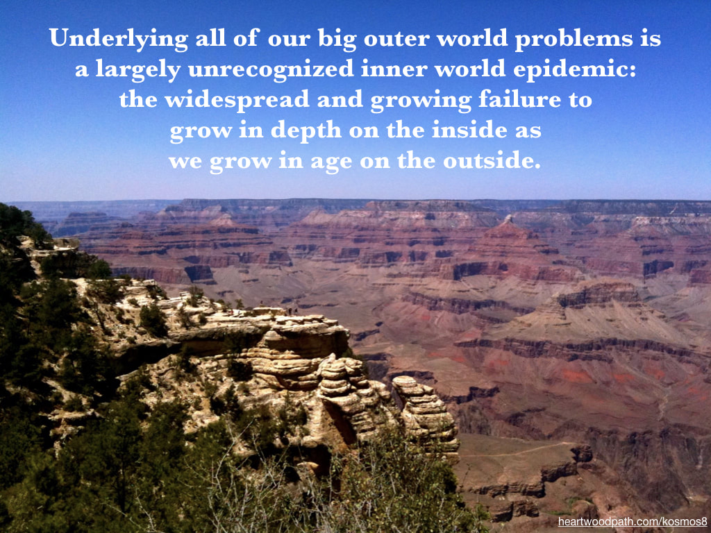 picture of grand canyon and quote Underlying all of our big outer world problems is a largely unrecognized inner world epidemic: the widespread and growing failure to grow in depth on the inside as we grow in age on the outside