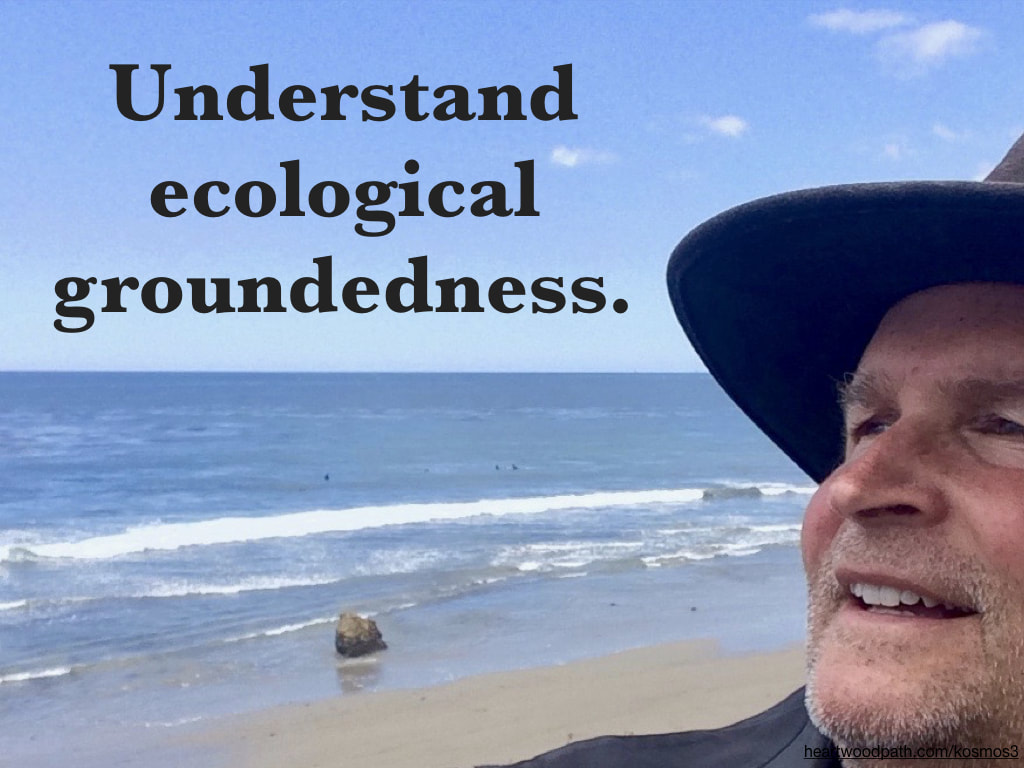 life coach don pierce quote Understand ecological groundedness