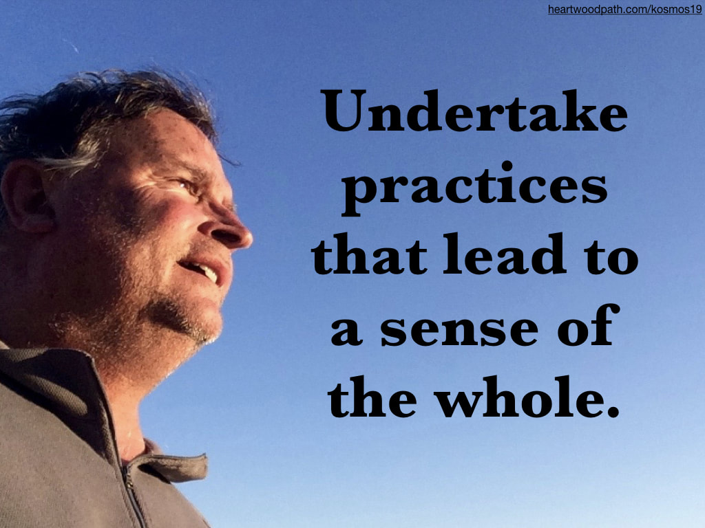 picture of life coach don pierce saying Undertake practices that lead to a sense of the whole