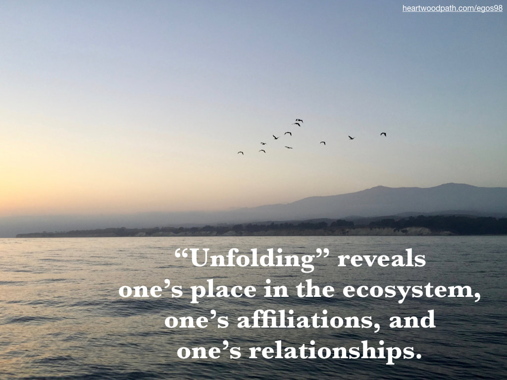Picture bird flying v ocean ripples quote “Unfolding” reveals one’s place in the ecosystem, one’s affiliations, and one’s relationships