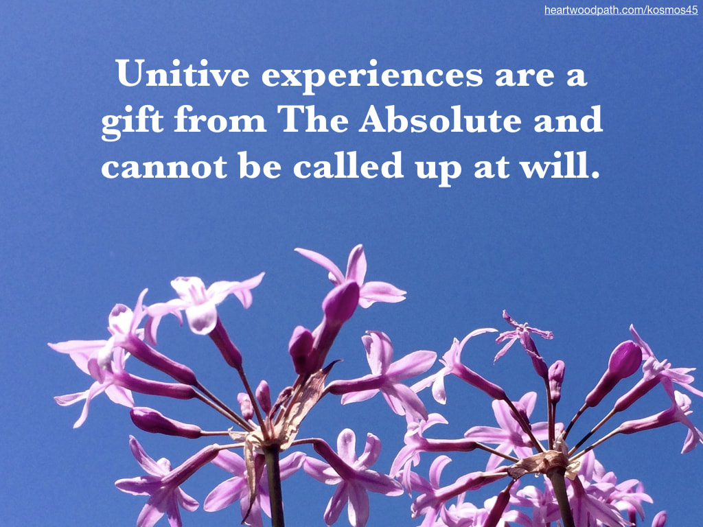 Picture pink flowers with words on sky - Unitive experiences are a gift from The Absolute and cannot be called up at will