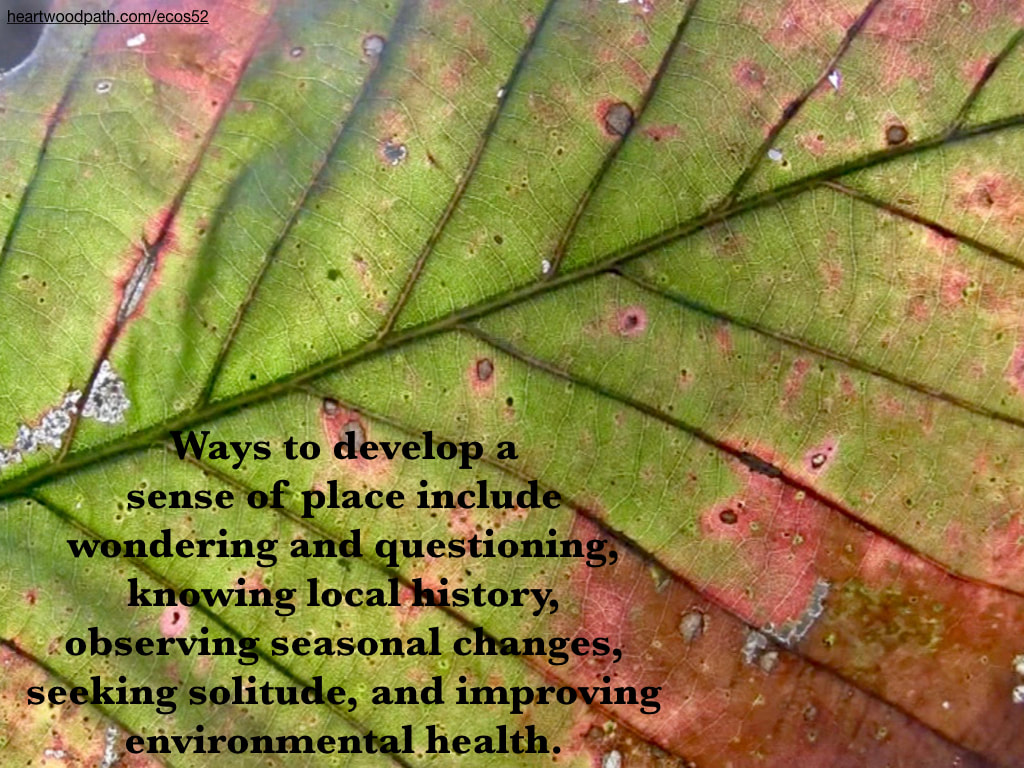 Picture green red leaf detail quote Ways to develop a sense of place include wondering and questioning, knowing local history, observing seasonal changes, seeking solitude, and improving environmental health