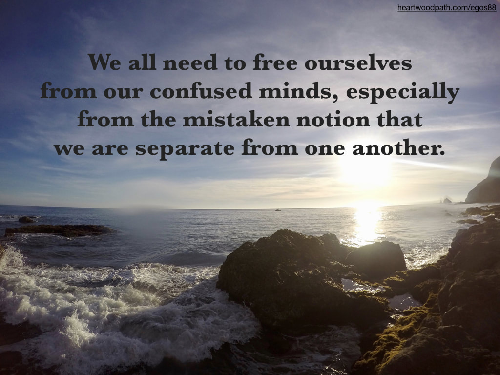 Picture ocean coast quote We all need to free ourselves from our confused minds, especially from the mistaken notion that we are separate from one another.