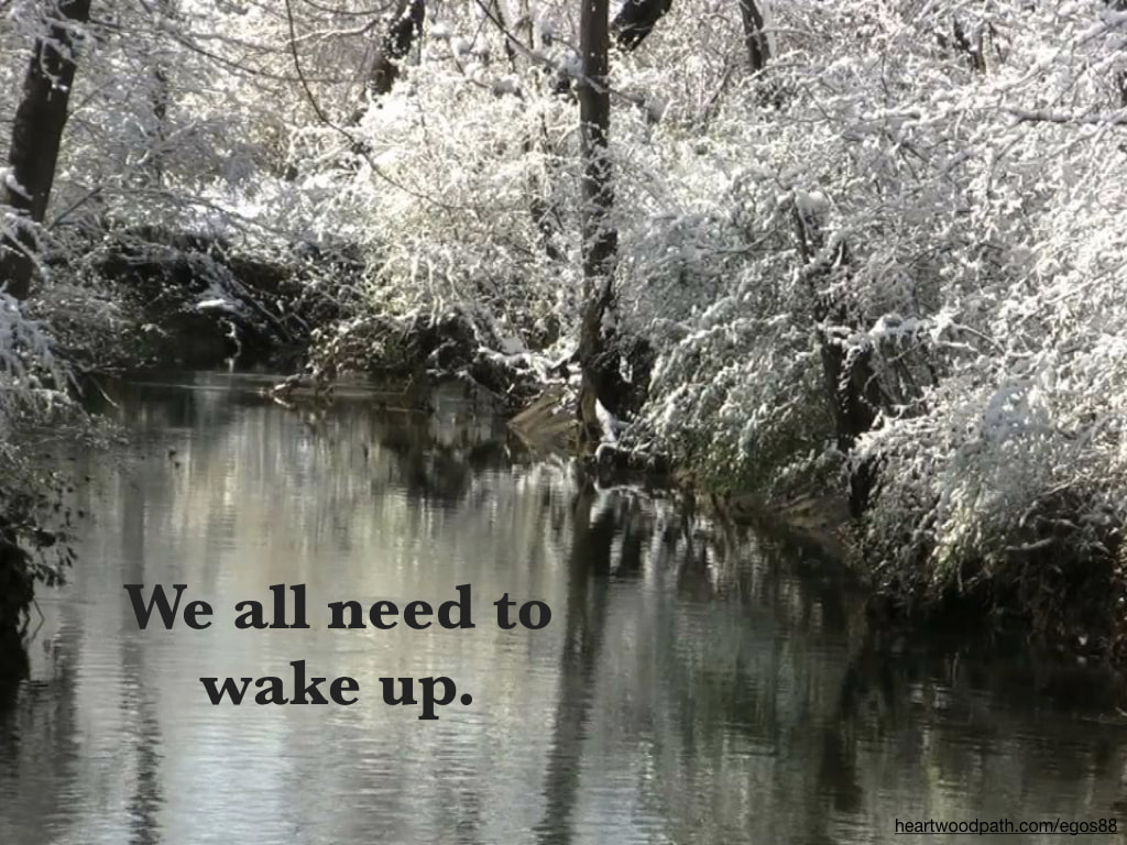 Picture snowy creek quote We all need to wake up