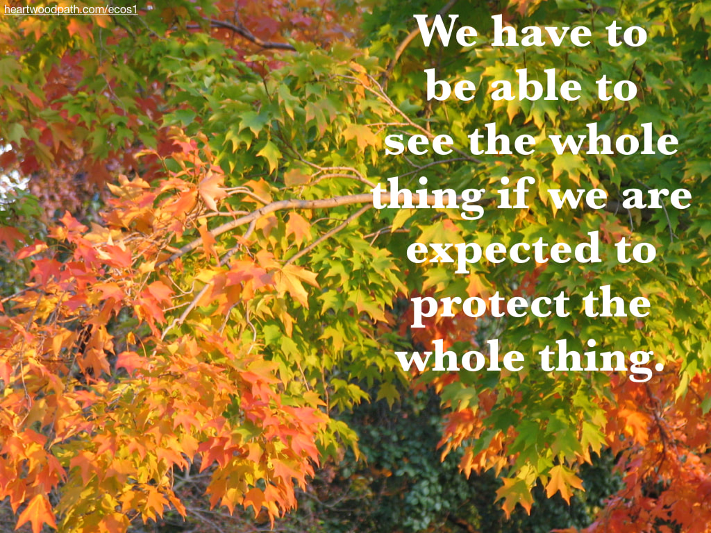 Picture fall leaves quote We have to be able to see the whole thing if we are expected to protect the whole thing