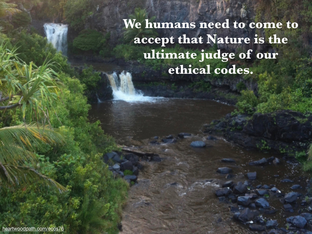 Picture waterfall brown water jungle quote We humans need to come to accept that Nature is the ultimate judge of our ethical codes