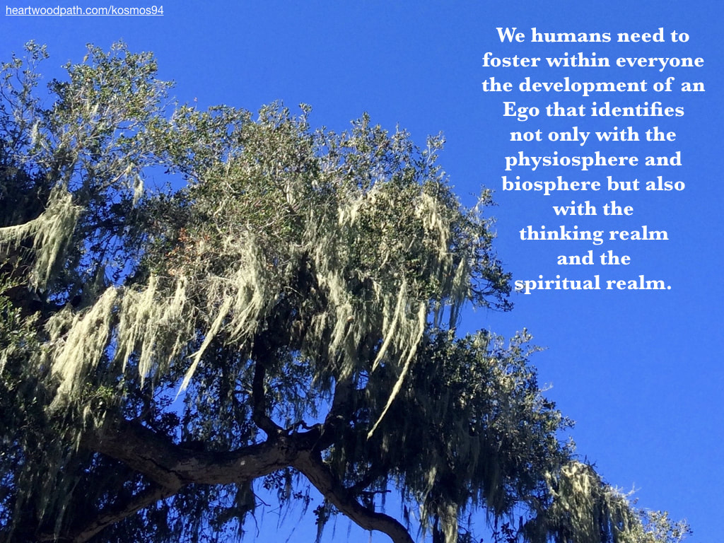 picture tree with quote We humans need to foster within everyone the development of an Ego that identifies not only with the physiosphere and biosphere but also with the thinking realm and the spiritual realm